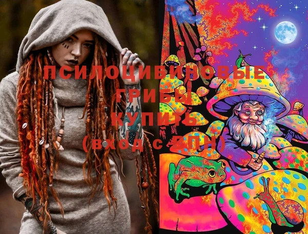 дурь Алексин