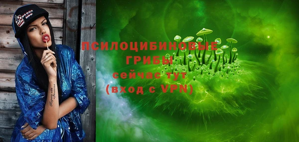 дурь Алексин