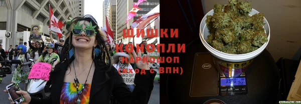 спайс Алзамай