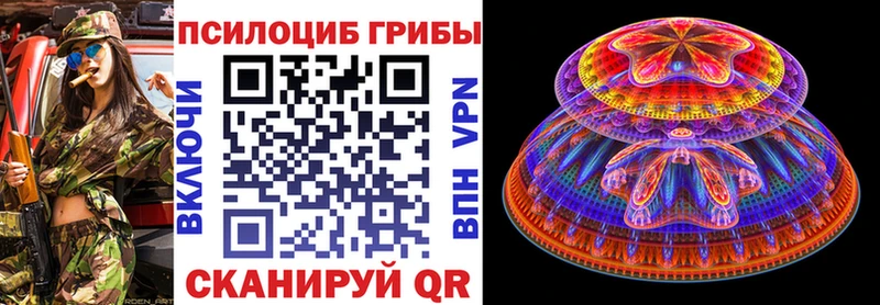 Псилоцибиновые грибы Psilocybe Харовск