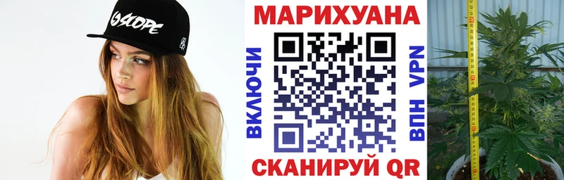 магазин    Харовск  МАРИХУАНА гибрид 